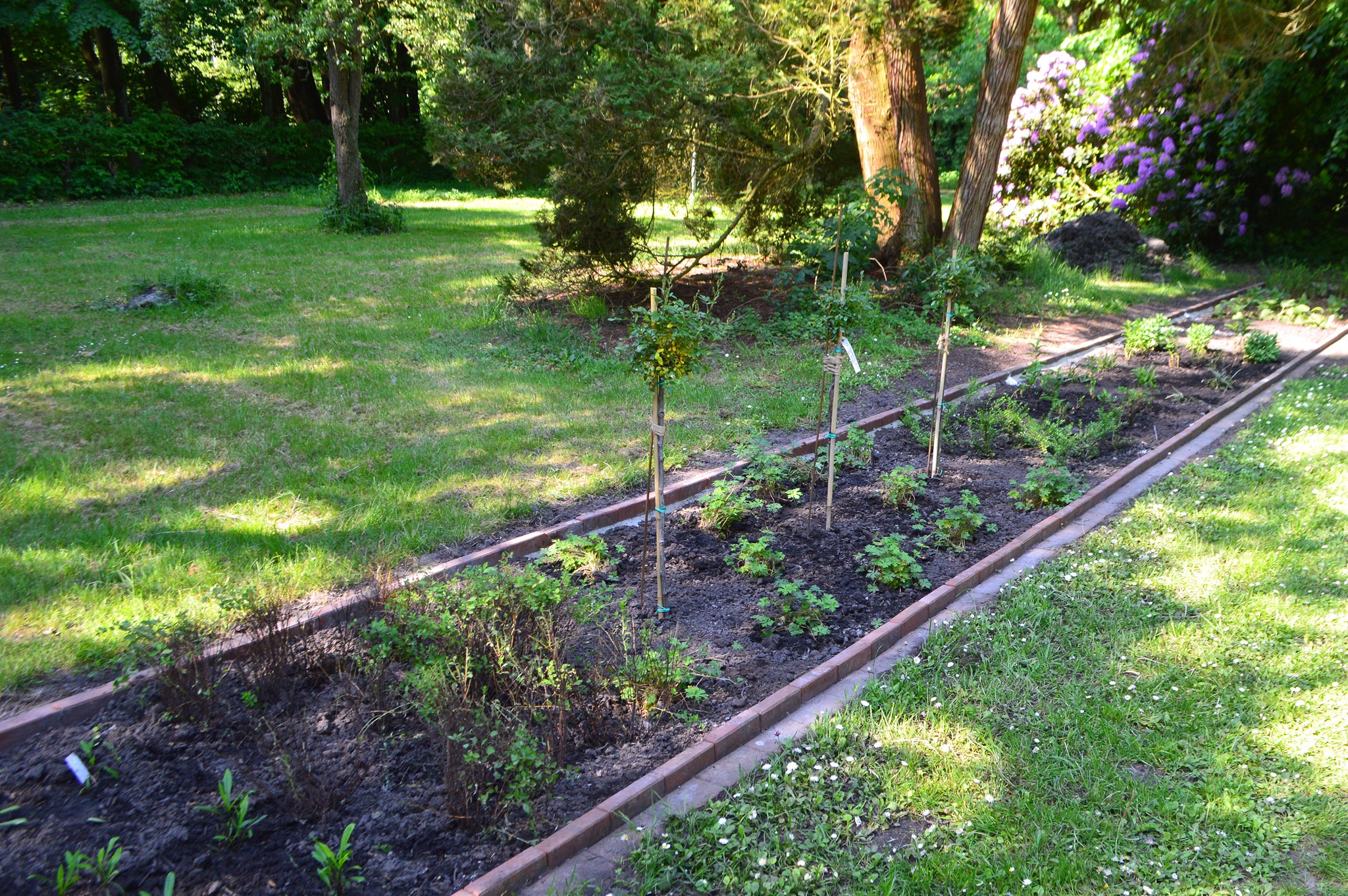Hochdorfer Garten in Tating, RichardsenBruchwitzStiftung